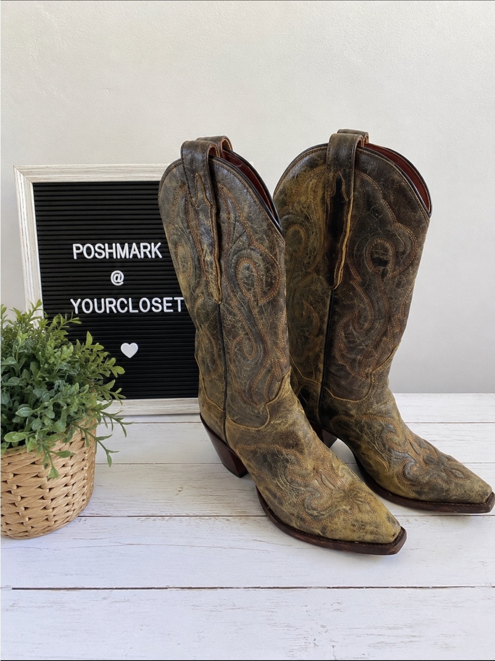Dan Post El Paso Womans Western Boots DP3247
